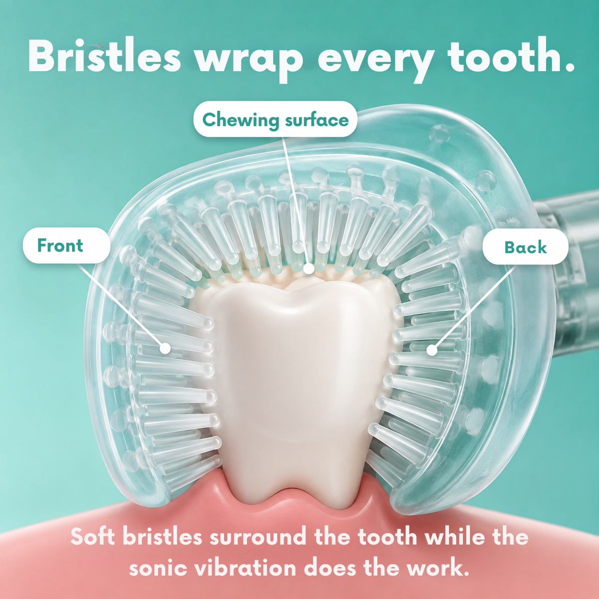 The BrushBuddy™